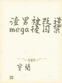 渣男被改造成omega后囚禁免费阅读