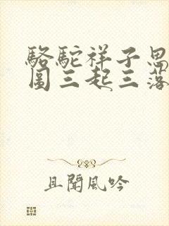 骆驼祥子思维导图三起三落