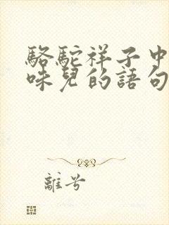 骆驼祥子中有京味儿的语句