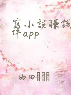 写小说赚钱的软件app