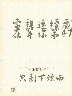 电视连续剧妈妈在等你第47集