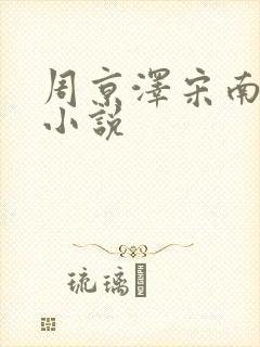 周京泽宋南夕 小说