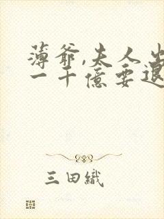 薄爷,夫人出价一千亿要退婚完结版