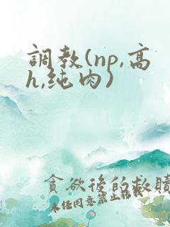 调教(np,高h,纯肉)