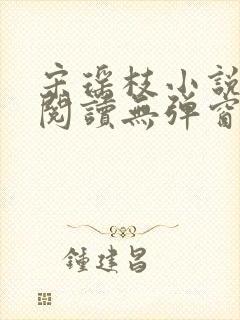 宋瑶枝小说免费阅读无弹窗最新章节