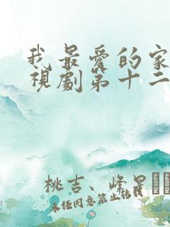 我最爱的家人电视剧第十二集