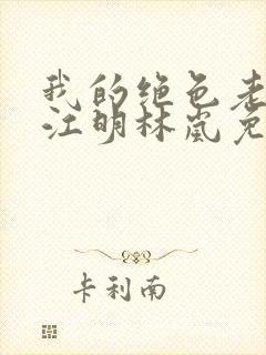 我的绝色老板娘江明林岚免费阅读