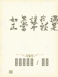 如果让我遇见你正当年轻是什么歌