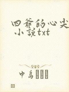 四爷的心尖宠妃 小说txt