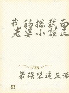 我的总裁白富美老婆小说正版