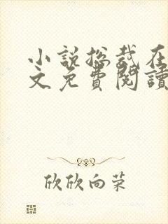 小说总裁在上全文免费阅读