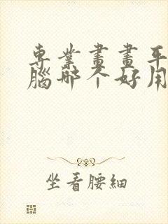 专业画画平板电脑哪个好用