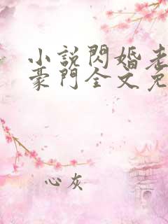 小说闪婚老公是豪门全文免费阅读