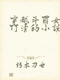 穿越斗罗女主朱竹清的小说