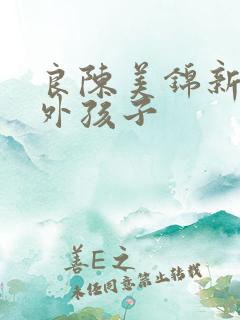 良陈美锦新增番外孩子