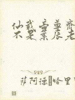 仙武帝尊齐月是不是叶辰老婆