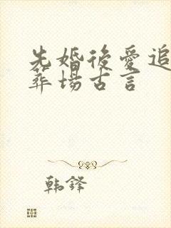 先婚后爱追妻火葬场古言