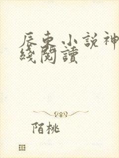 辰东小说神墓在线阅读
