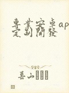 专业安卓app定制开发