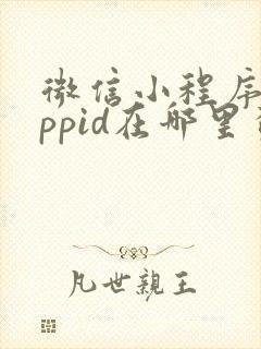 微信小程序的appid在哪里查看