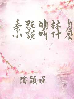 秦既明林月盈的小说叫什么名字