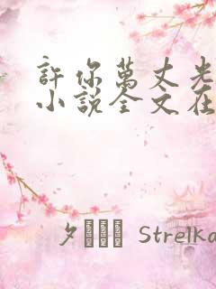 许你万丈光芒好小说全文在线阅读