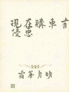 现在购车有什么优惠