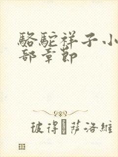 骆驼祥子小说全部章节