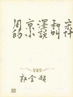 周京泽和宋南夕的小说叫什么