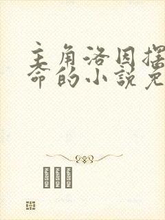 主角洛因摆摊算命的小说免费阅读