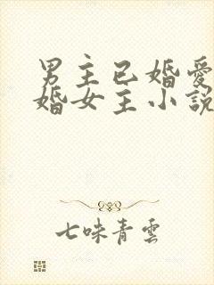 男主已婚爱上未婚女主小说