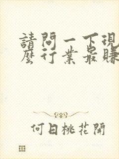 请问一下现在什么行业最赚钱