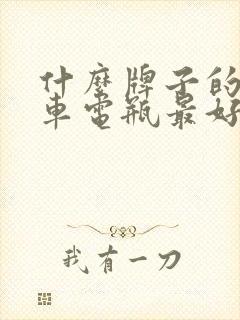 什么牌子的电瓶车电瓶最好最耐用