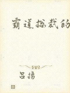 霸道总裁的老婆