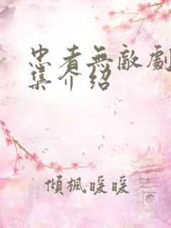 忠者无敌剧情分集介绍