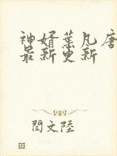 神婿叶凡唐若雪最新更新