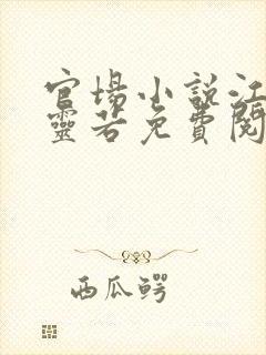 官场小说江风唐灵若免费阅读