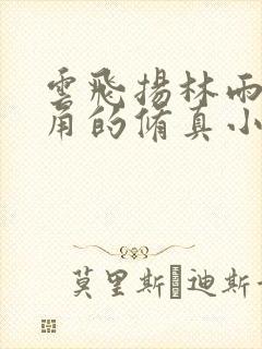 云飞扬林雨初主角的修真小说