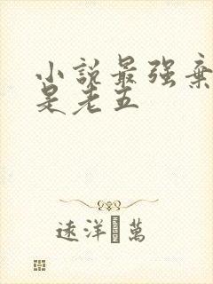 小说最强弃少鹅是老五