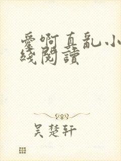 爱啊真乱小说在线阅读