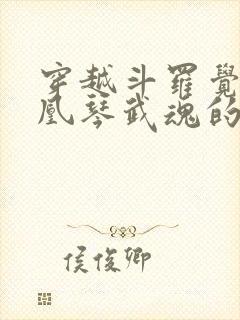 穿越斗罗觉醒凤凰琴武魂的小说