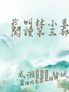 我叫林小喜全文阅读第三部