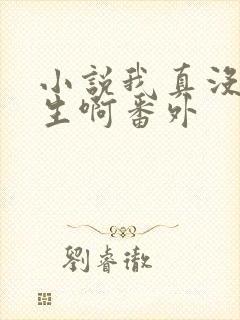 小说我真没想重生啊番外