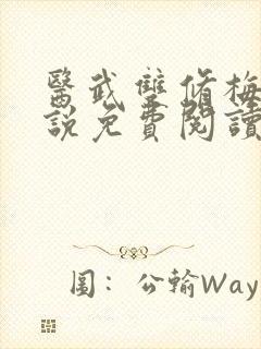 医武双修梅姨小说免费阅读