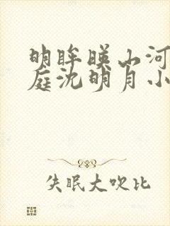 明眸映山河裴缜庭沈明月小说阅读