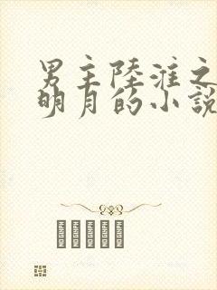 男主陆淮之女主明月的小说