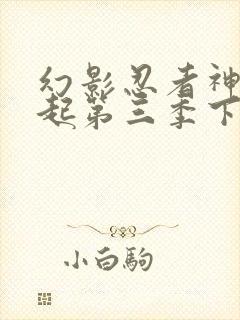 幻影忍者神龙崛起第三季下半部