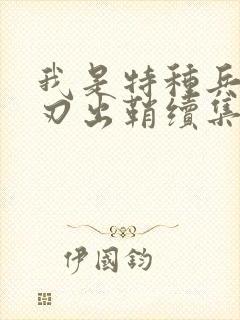 我是特种兵之利刃出鞘续集