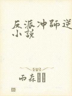 反派冲师逆徒的小说