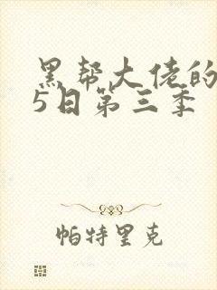 黑帮大佬的365日第三季